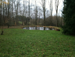 Der Teich zur Wald-Hütte zeigt das enorme Potential der kompletten Anlage